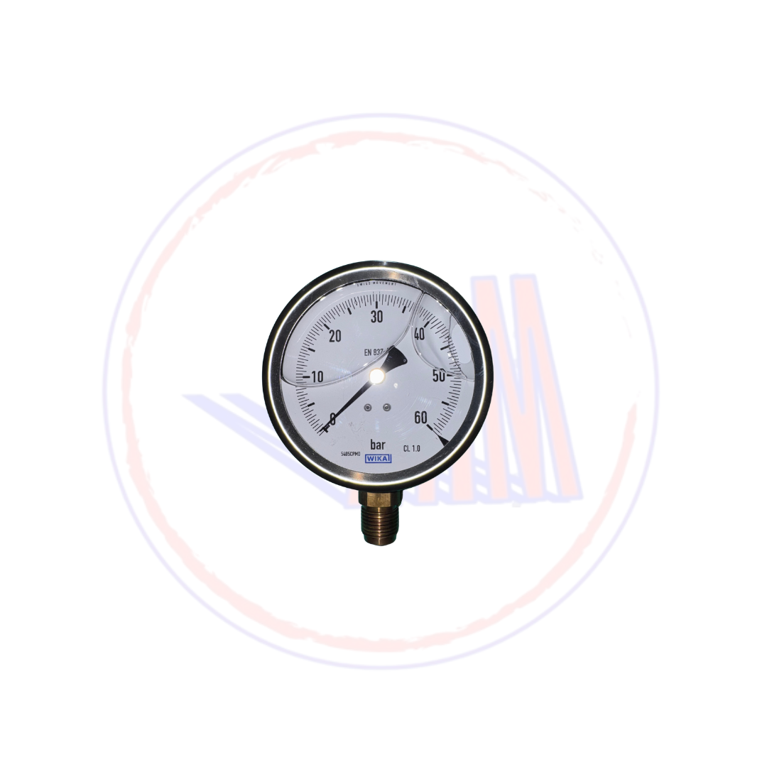 MANOMETRO D. 100 C. INOX G1/2 RAD 0/60