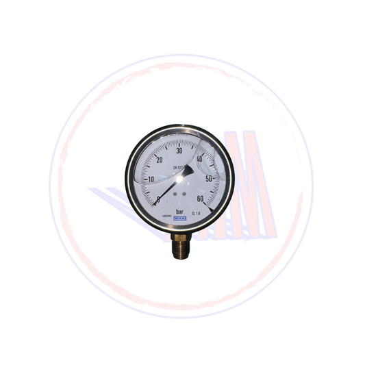 MANOMETRO D. 100 C. INOX G1/2 RAD 0/60