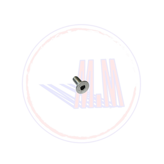 VITE TSPEI M6X16 INOX UNI 5933